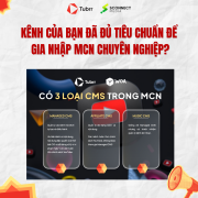 Checklist 5 điều kiện cần: Kênh của bạn đã đủ tiêu chuẩn để gia nhập MCN chuyên nghiệp?