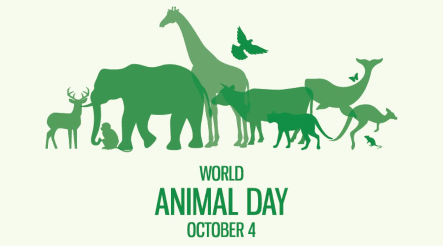 world-animal-day